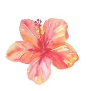 Meet your Posher, Caylin